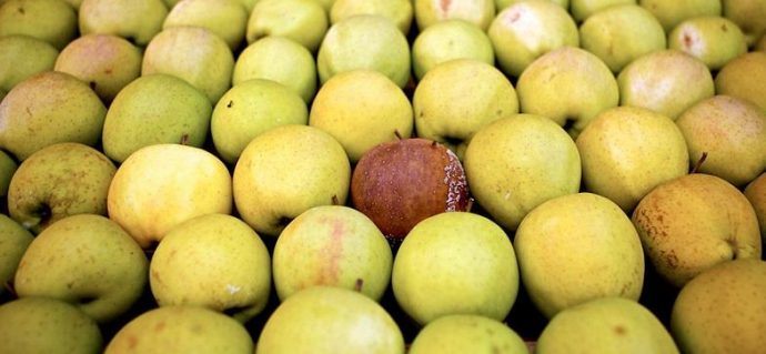 Семинар „Как да разпознаваме „гнилите ябълки“ във фирмата ни?“
