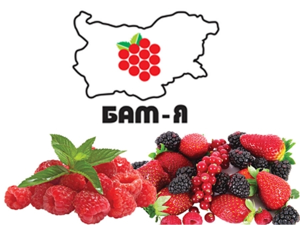 Международно изложение на малинопроизводителите и ягодоплодните