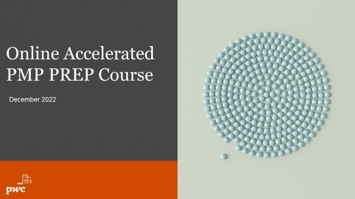 Preparatory course for the PMP qualification by PwC Academy